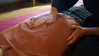 https://www.georgiafarrant.net/files/gimgs/th-115_shiatsu 2 height 250.jpg